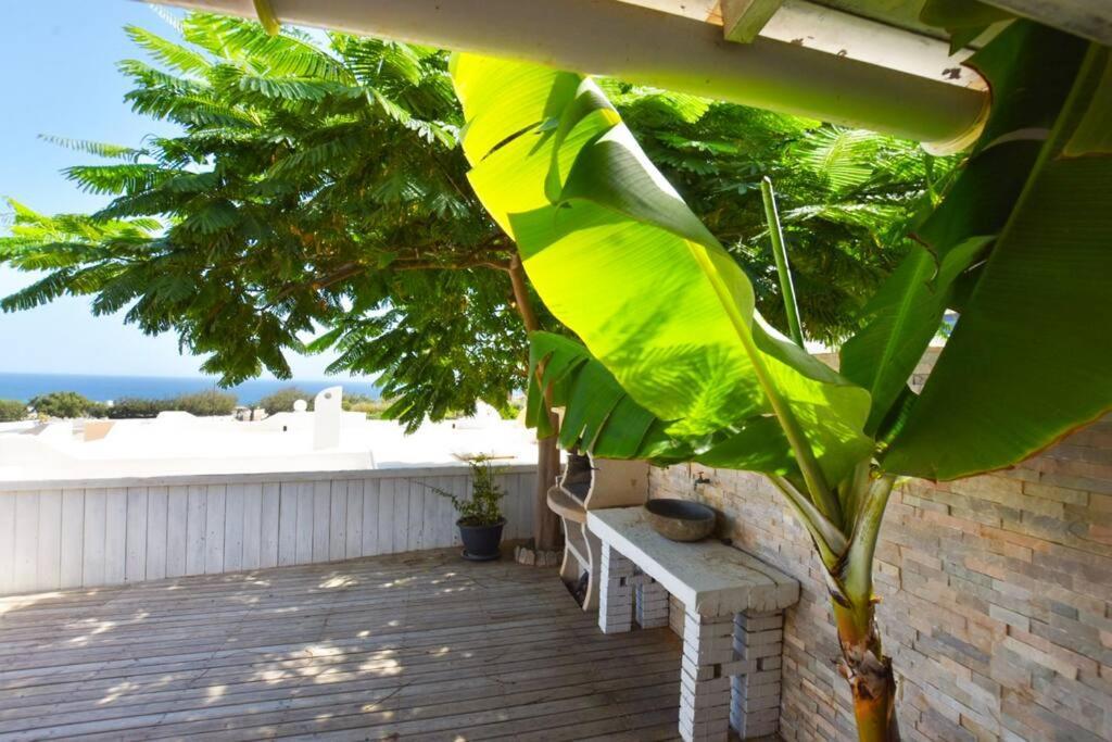 Ferienwohnung Book Jet - Costa Calma Blue Ocean Dream Terrace Exterior foto